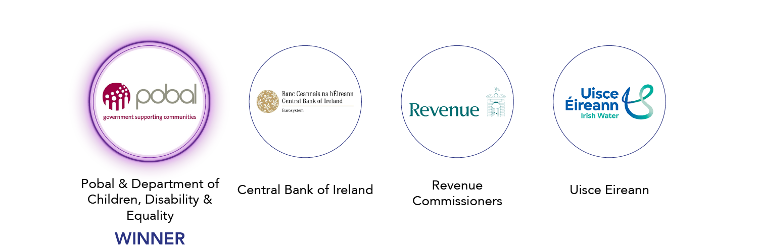 Digital_Public Sector Project.png